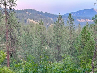TBD Highland Ct, Orofino, ID 83544