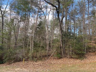 104 Coral Beads Way, Sunset, SC 29685