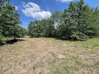Lot #3 Cr 218 Rd, Anderson, TX 77830