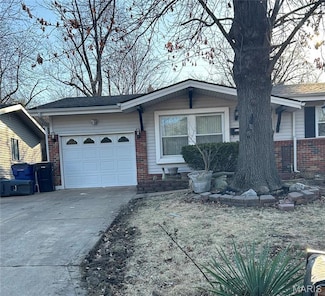 11030 Worchester Dr, Saint Louis, MO 63136