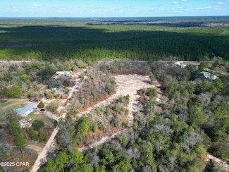 TBD NW Doris Stewart Rd, Bristol, FL 32321