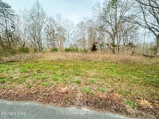 Lot 1102 Mountain View Ln, Baneberry, TN 37890