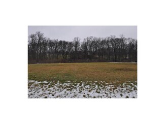 Lot 17 Alpha Ridge Rd, Trimble, MO 64492