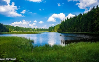 Tr I, Remote, AK 99000