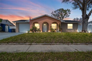 10724 Tabor Dr, Tampa, FL 33625