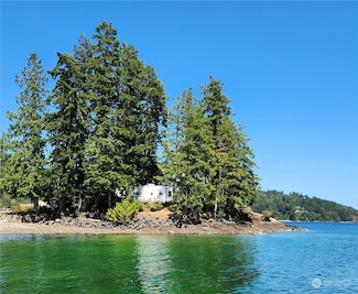 126 Handley Ln, Brinnon, WA 98320