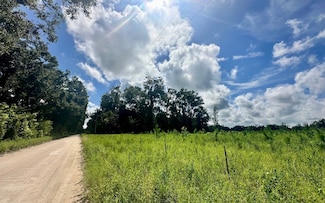 0 Tbd 288th St Unit 124940, Branford, FL 32060