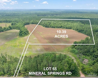 Lot 55 Mineral Springs Rd, Jay, FL 32565
