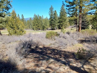 928 Red Sky Unit Toland-Roman Lot 175, Gold Mountain, CA 96122