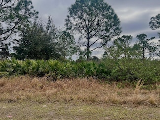 439 Columbus Blvd S, Lehigh Acres, FL 33974