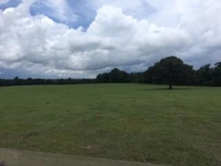 2121 Raybon Rd, Ellaville, GA 31806