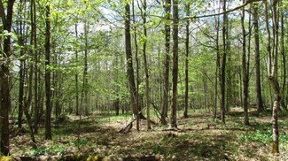 4784 Knickerbocker Rd, Cincinnatus, NY 13040
