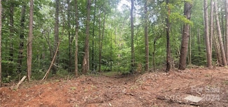 0 Rankin Rd, Cleveland, NC 27013
