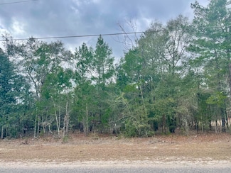 Lot 40 Beethoven Cir, Defuniak Springs, FL 32433