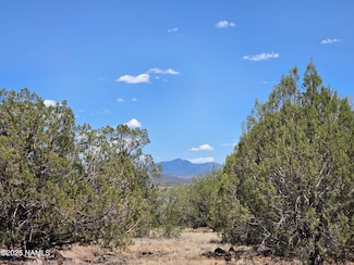 1804 N Frances Ln, Williams, AZ 86046