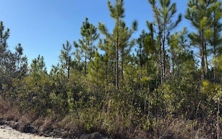 0 SE County Line Rd, Lulu, FL 32061