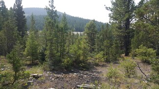Tract B Gong Rd, Philipsburg, MT 59858