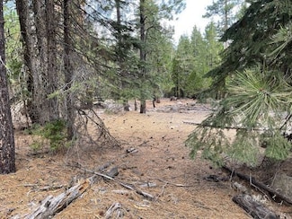 0 N Overland Unit 2906635, Alturas, CA 96101