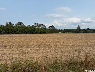 Lot 9 Mack Rd, Conway, SC 29526