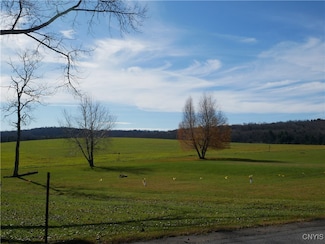 0 Gorton Lake Rd Unit S1576521, Brookfield, NY 13314