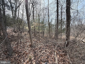 Lot 62 Roaches Run Rd, Shenandoah Farms, VA 22630