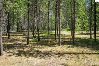 NNA Reeder Bay, Nordman, ID 83848