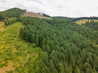0 Rat Creek Rd Unit 123052102, Cottage Grove, OR 97424