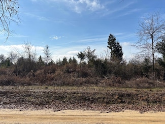 0 Parcel H County Road 2212, Troy, AL 36079