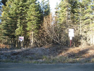 L2 B1 Tolum Rd, Kasilof, AK 99610