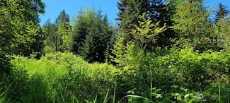 825 99th Ave SE, Lake Stevens, WA 98258