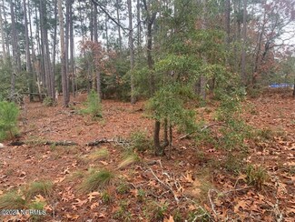 Lots 3-5 Raeford Rd, Boiling Spring Lakes, NC 28461