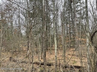 0 Pleasant View Dr, Polk Township, PA 18058