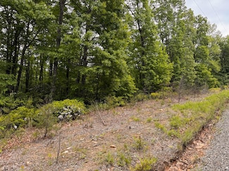Lot 5 Shortcut Dr, Woolwine, VA 24185