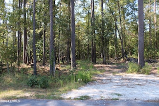 230 Appleby Ave, Estill, SC 29918