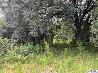 166 Wilbur Ct, Timmonsville, SC 29161