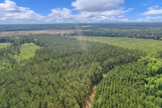 0 N Brewington Rd Unit 24570399, Manning, SC 29102