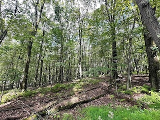Lot 87 Ginger Ct, Terra Alta, WV 26764