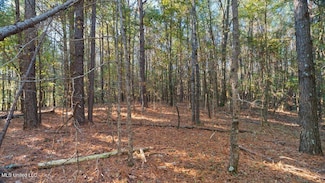 0 Jimmie Dr, Forest, MS 39074