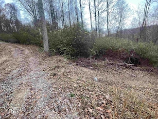 TBA Life's Run Rd, Jane Lew, WV 26378