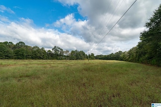 0 Allred Rd Unit 21435121, Lincoln, AL 35096