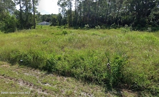 581 Oleander Ln NW, Palm Bay, FL 32907