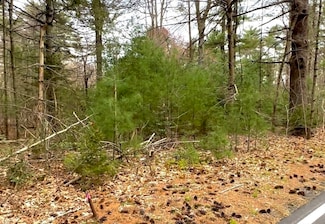 0 Montgomery St, Lakeville, MA 02347