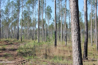 0 Hwy 87 Tract 1, Forsyth, GA 31029