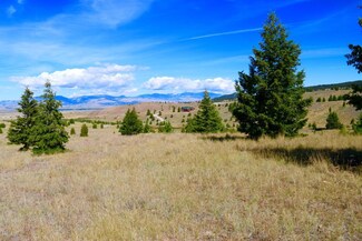 800 Flint Creek Rd, Ramsay, MT 59748
