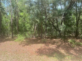 8729 N Wallingford Ave, Citrus Springs, FL 34434
