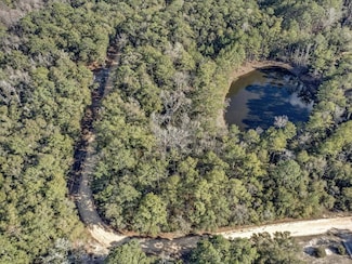 Lot 25 Blue Creek Rd, Ponce de Leon, FL 32455