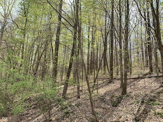 1550 Fox Hollow Dr, Martinsville, IN 46151