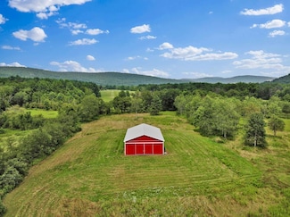 0 Mann Hill Rd, Tioga, PA 16946