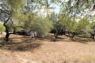 17201 Oak Cliff Cir, Dripping Springs, TX 78620