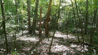 2.59 Acres Bent Creek Rd, Amelia, VA 23002